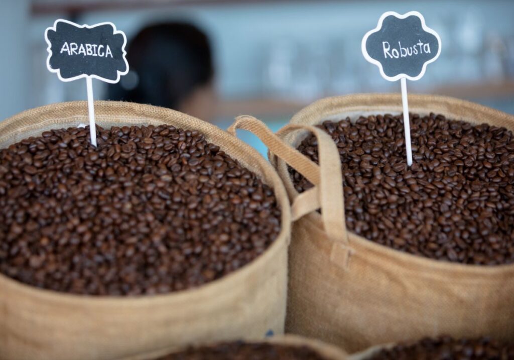 2 hessian sacks, one filled with Arabica coffee beans and the other with Robusta coffee beans