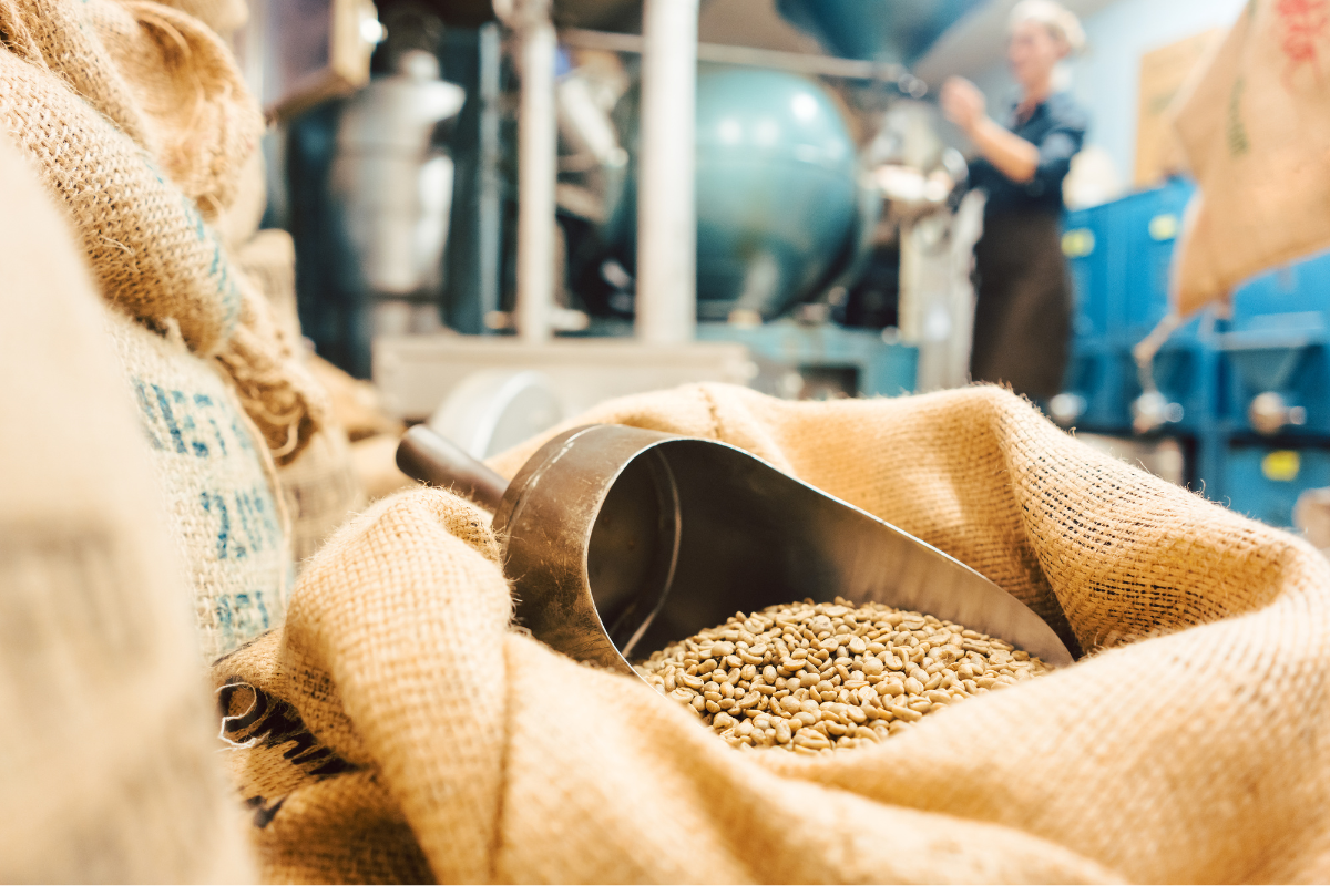 Green coffee beans