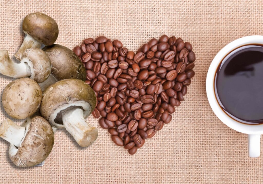 Rising Star in the Coffee World: RYZE Mushroom Coffee's Surprising Health Benefits and Taste Review 6 Mushroom Coffee