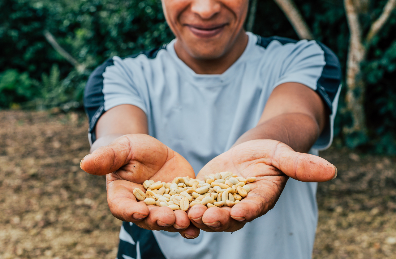 green coffee beans