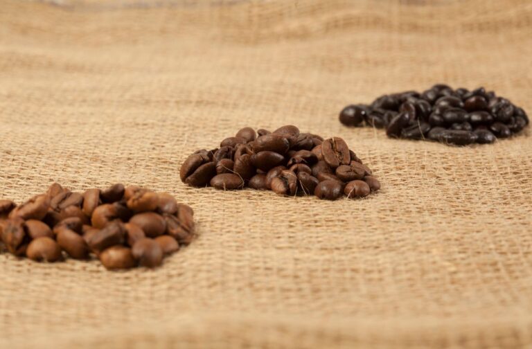 The Ultimate Coffee Roast Guide: Exploring Light, Medium, and Dark Beans